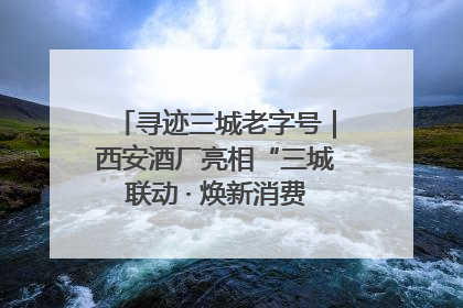 寻迹三城老字号｜西安酒厂亮相“三城联动 · 焕新消费”老字号嘉年华 共话品牌传承与创新
