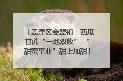 孟津区会盟镇：西瓜甘蔗“一地双收” “甜蜜事业”甜上加甜