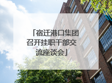 宿迁港口集团召开挂职干部交流座谈会