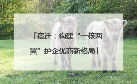 宿迁：构建“一核两翼”护企优商新格局