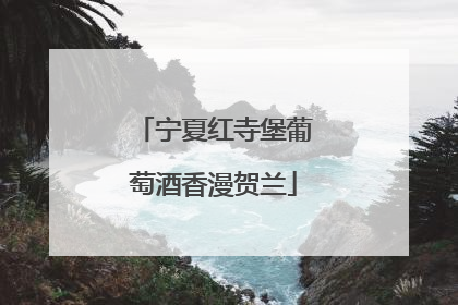 宁夏红寺堡葡萄酒香漫贺兰