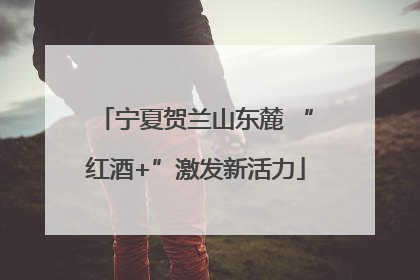 宁夏贺兰山东麓 “红酒+”激发新活力