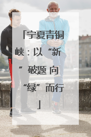 宁夏青铜峡：以“新”破题 向“绿”而行