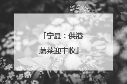 宁夏：供港蔬菜迎丰收