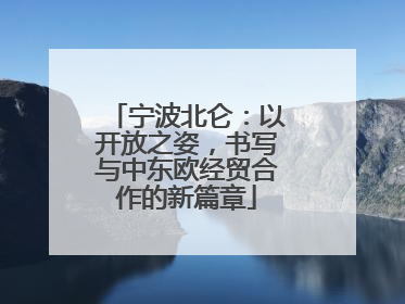 宁波北仑：以开放之姿，书写与中东欧经贸合作的新篇章