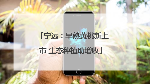 宁远：早熟黄桃新上市 生态种植助增收