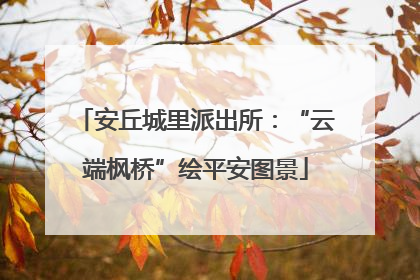 安丘城里派出所：“云端枫桥”绘平安图景