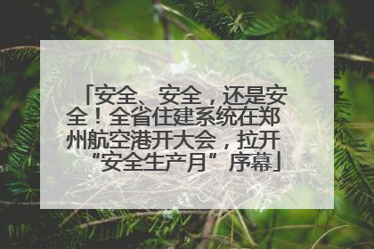 安全、安全，还是安全！全省住建系统在郑州航空港开大会，拉开“安全生产月”序幕