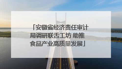 安徽省经济责任审计局调研联舌工坊 助推食品产业高质量发展