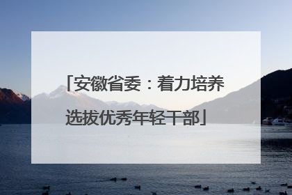 安徽省委：着力培养选拔优秀年轻干部