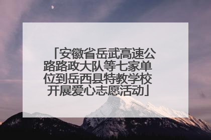 安徽省岳武高速公路路政大队等七家单位到岳西县特教学校开展爱心志愿活动