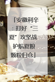 安徽利辛：打好“三夏”攻坚战 护航夏粮颗粒归仓