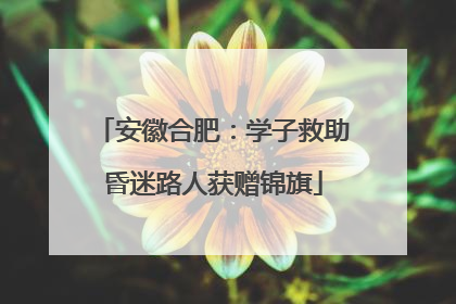 安徽合肥：学子救助昏迷路人获赠锦旗
