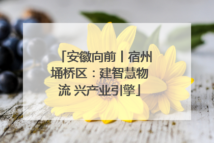 安徽向前丨宿州埇桥区：建智慧物流 兴产业引擎