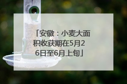 安徽：小麦大面积收获期在5月26日至6月上旬