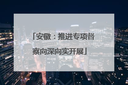 安徽：推进专项督察向深向实开展