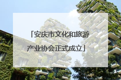 安庆市文化和旅游产业协会正式成立