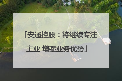 安通控股：将继续专注主业 增强业务优势
