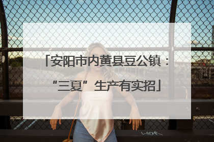 安阳市内黄县豆公镇：“三夏”生产有实招