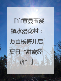 宜章县玉溪镇水浸窝村：万亩杨梅开启夏日“甜蜜经济”
