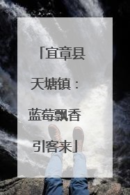 宜章县天塘镇：蓝莓飘香引客来