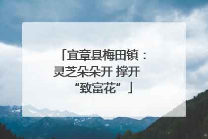 宜章县梅田镇：灵芝朵朵开 撑开“致富花”