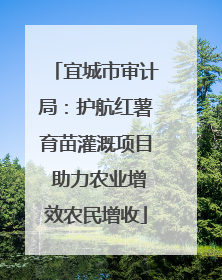 宜城市审计局：护航红薯育苗灌溉项目 助力农业增效农民增收