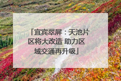 宜宾翠屏：天池片区将大改造 助力区域交通再升级