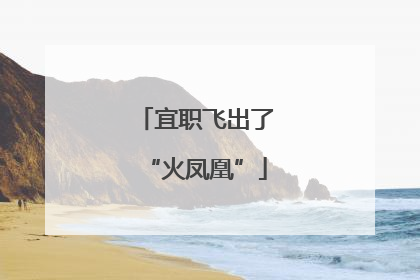 宜职飞出了“火凤凰”