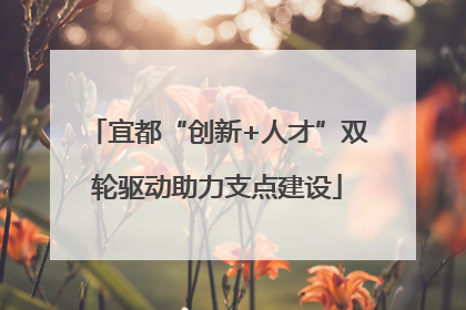 宜都“创新+人才”双轮驱动助力支点建设