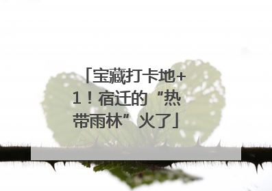 宝藏打卡地+1！宿迁的“热带雨林”火了