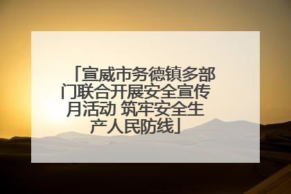 宣威市务德镇多部门联合开展安全宣传月活动 筑牢安全生产人民防线