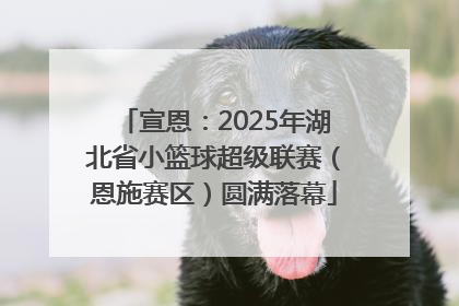 宣恩：2025年湖北省小篮球超级联赛（恩施赛区）圆满落幕