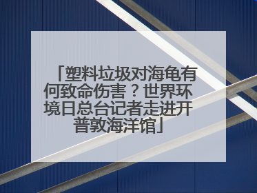 塑料垃圾对海龟有何致命伤害？世界环境日总台记者走进开普敦海洋馆