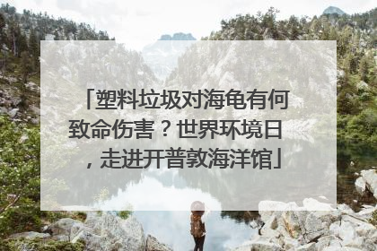 塑料垃圾对海龟有何致命伤害？世界环境日，走进开普敦海洋馆