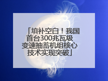 填补空白！我国首台300兆瓦级变速抽蓄机组核心技术实现突破