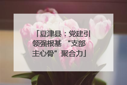 夏津县：党建引领强根基 “支部主心骨”聚合力