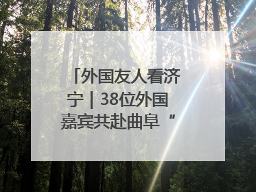 外国友人看济宁｜38位外国嘉宾共赴曲阜“文化之约”