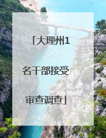 大理州1名干部接受审查调查