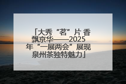 大秀“茗”片 香飘京华——2025年“一展两会”展现泉州茶独特魅力