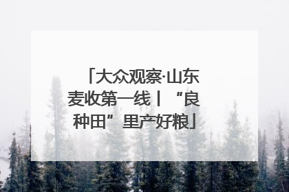 大众观察·山东麦收第一线丨“良种田”里产好粮