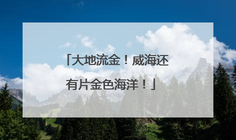 大地流金！威海还有片金色海洋！