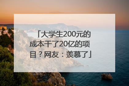 大学生200元的成本干了20亿的项目？网友：羡慕了