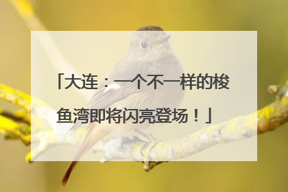 大连：一个不一样的梭鱼湾即将闪亮登场！