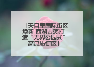 天目里国际街区焕新 西湖古荡打造“无界公园式”高品质街区