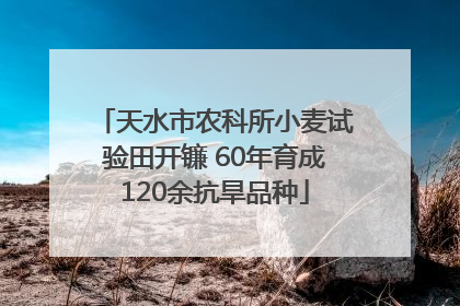 天水市农科所小麦试验田开镰 60年育成120余抗旱品种