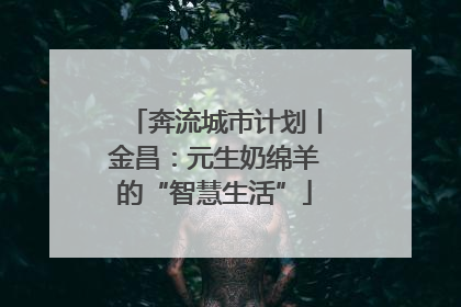 奔流城市计划丨金昌：元生奶绵羊的“智慧生活”