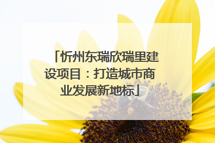 忻州东瑞欣瑞里建设项目：打造城市商业发展新地标