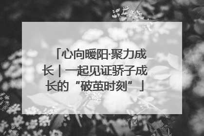 心向暖阳·聚力成长｜一起见证骄子成长的“破茧时刻”