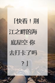 快看！荆江之畔的海底星空 你去打卡了吗？
